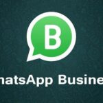 Whatsapp Business APK Download