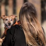 How to Handle Common Pet Behavioral Issues