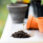 The Best Gardening Tools for 2024