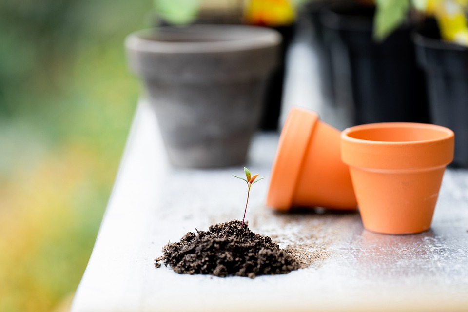 The Best Gardening Tools for 2024